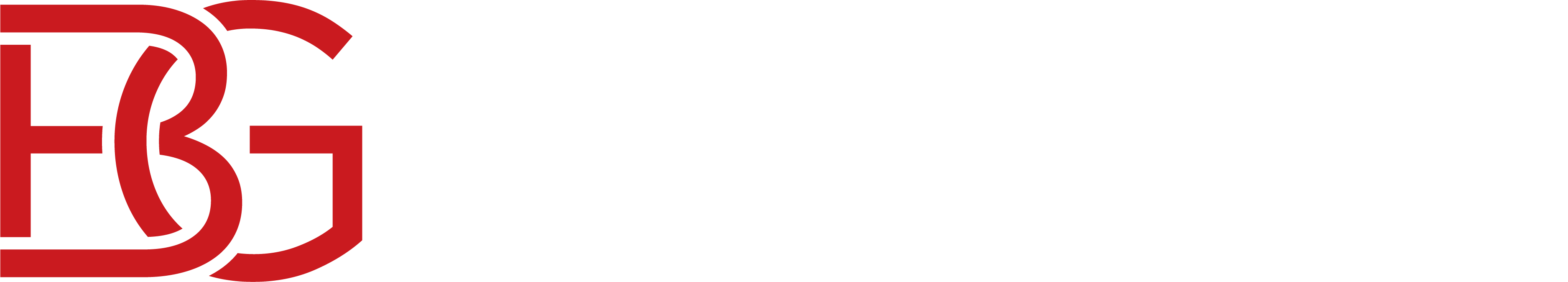 Betgross logo