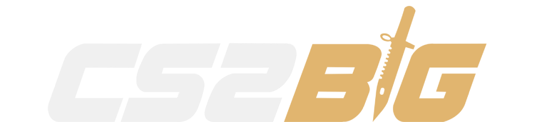 Cs2big logo